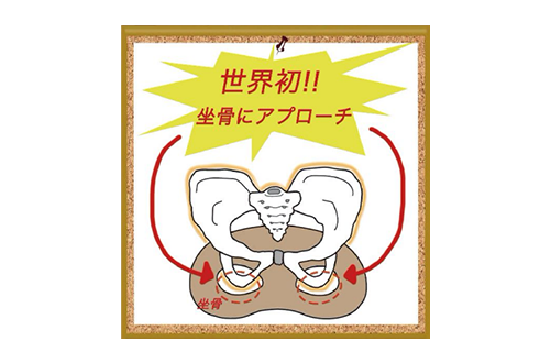 ②坐骨の前を押しあてるように前に体重を乗せる
